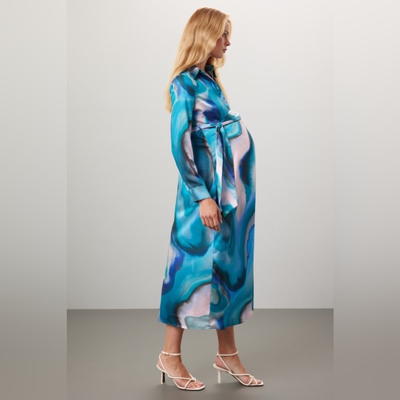 Pietro Brunelli Maternity Dress - Picture 3 of 7